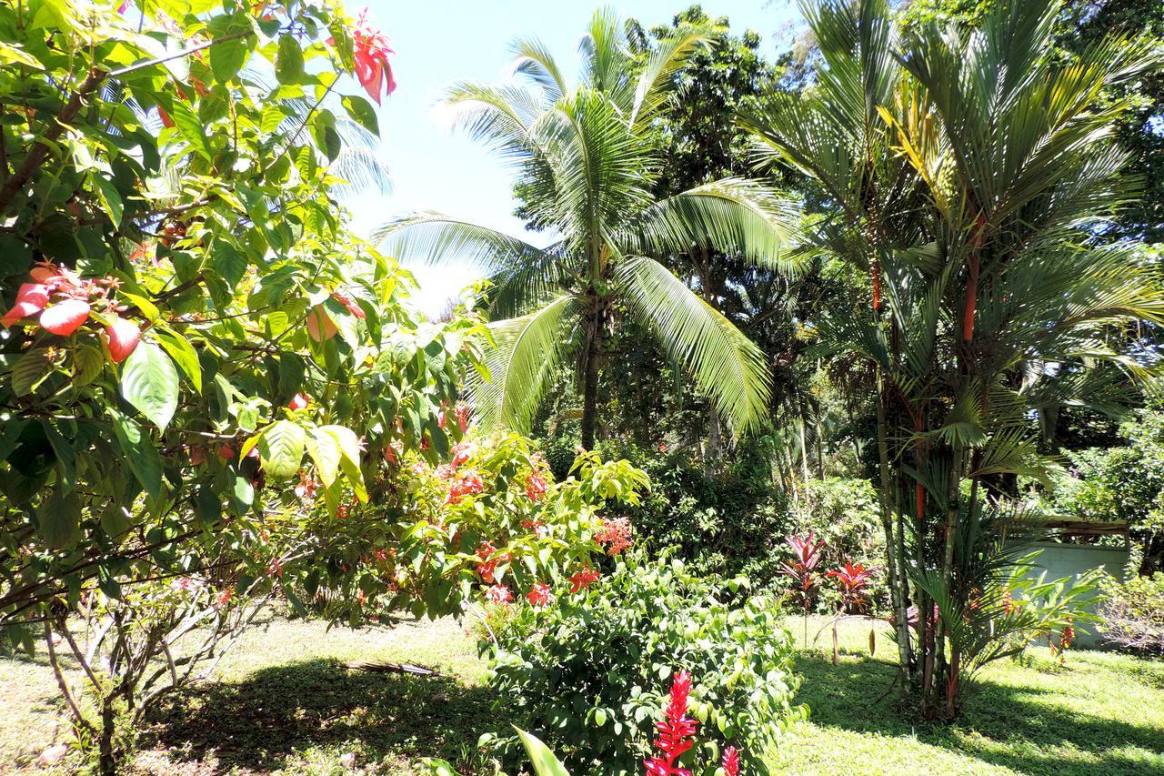 Rosa Lodge Cahuita Exterior foto