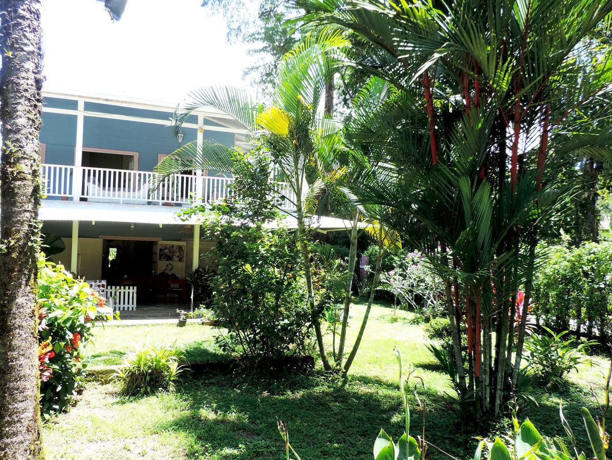 Rosa Lodge Cahuita Exterior foto