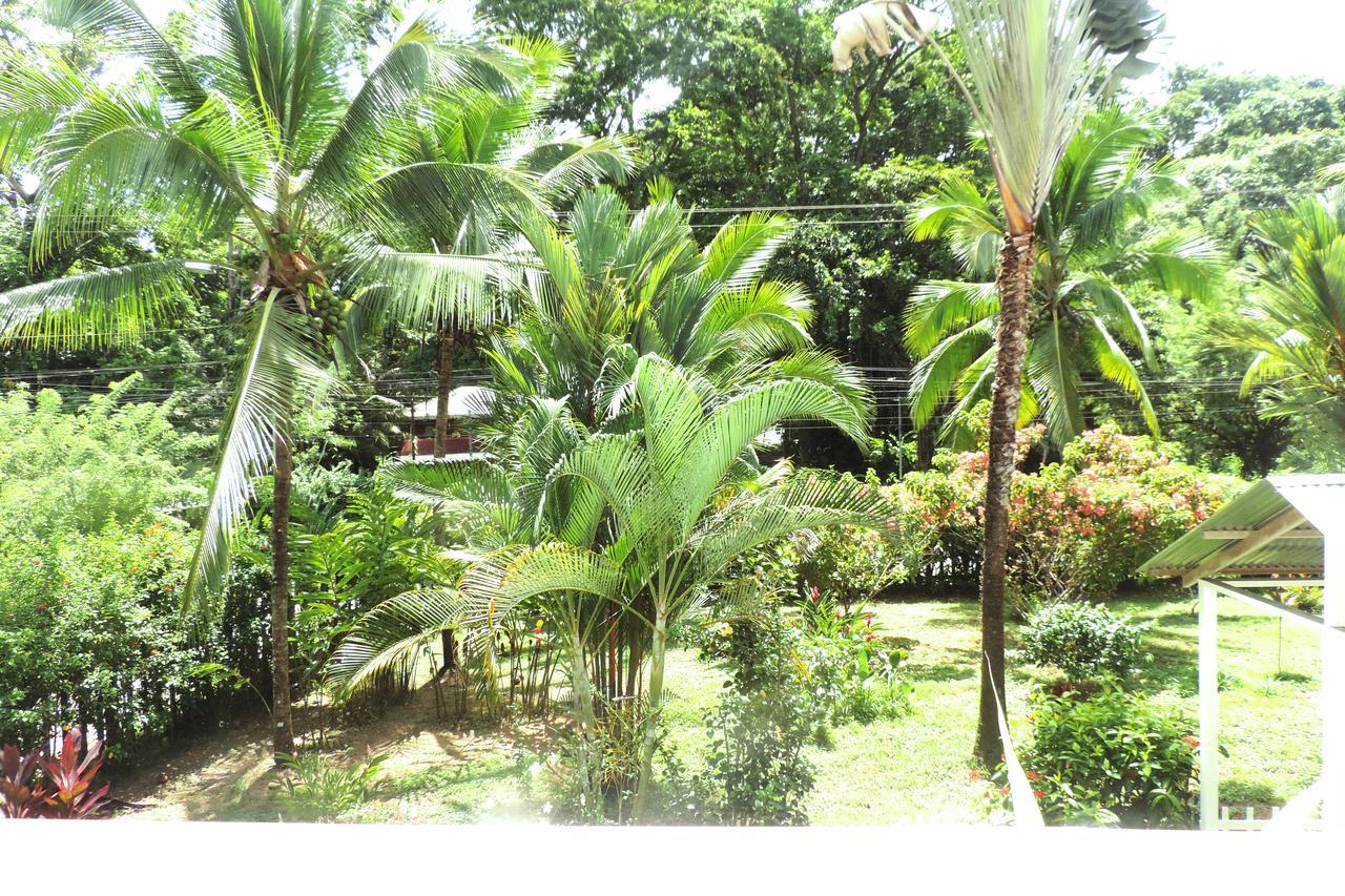 Rosa Lodge Cahuita Exterior foto